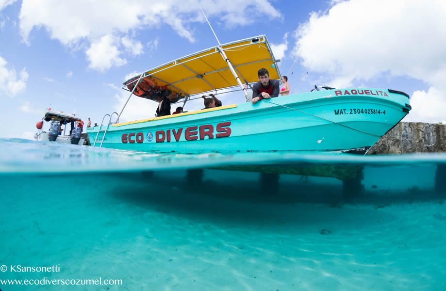 Come explore the magnificent reefs